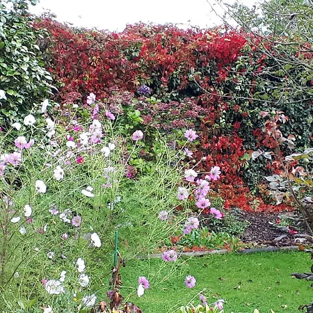 Pensionat Le Bien Aller - Le Jardin De Niki Moyaux (Calvados)