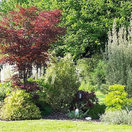 Le Bien Aller - Le Jardin De Niki Pensionat Moyaux (Calvados)