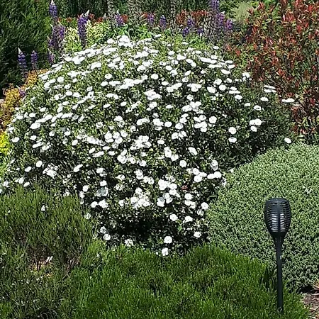 Pensionat Le Bien Aller - Le Jardin De Niki Moyaux (Calvados)